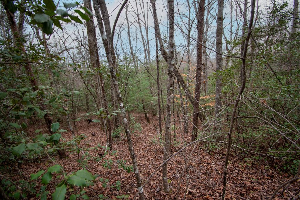 Lot 6 Lot 6 Posey Place Property Photo 1