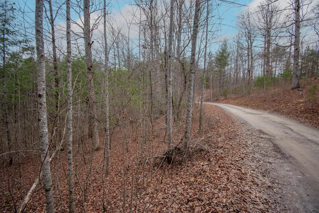 Lot 38 38 Posey Place Property Photo 1