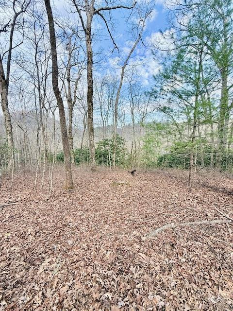 00 Pleasant View Property Photo 1