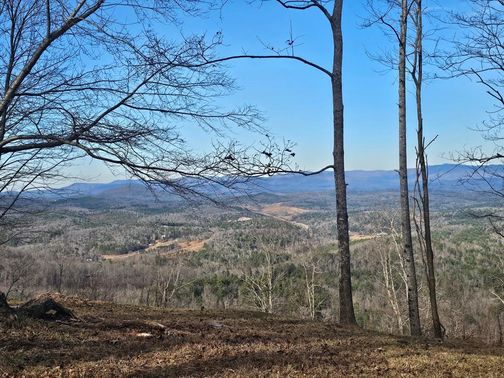 38 38 Trophy Buck Point Property Photo 5