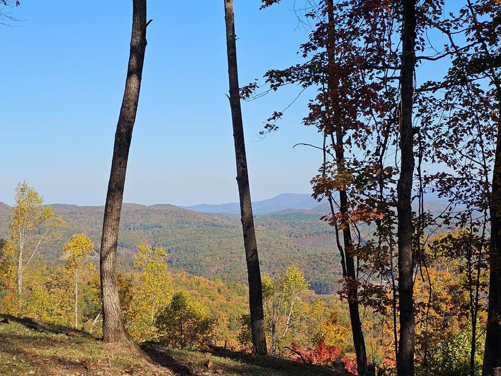 38 38 Trophy Buck Point Property Photo 6