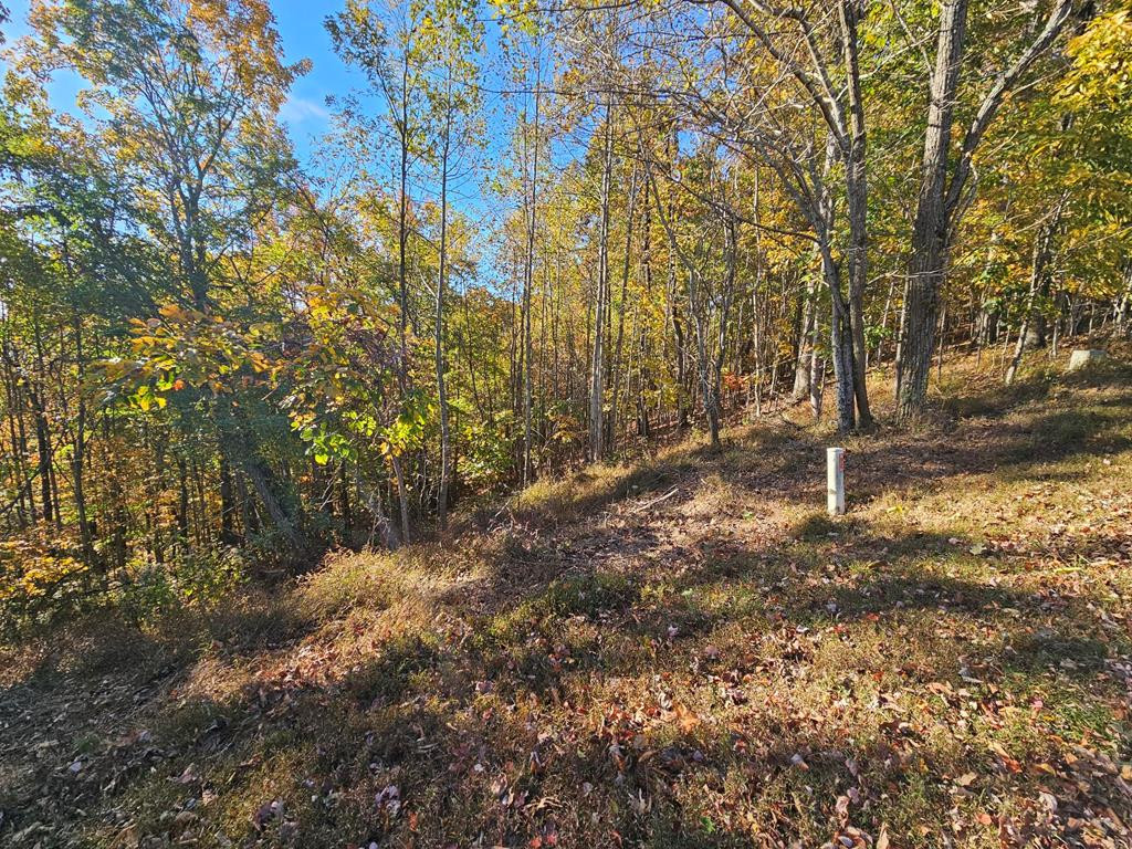 38 38 Trophy Buck Point Property Photo 13
