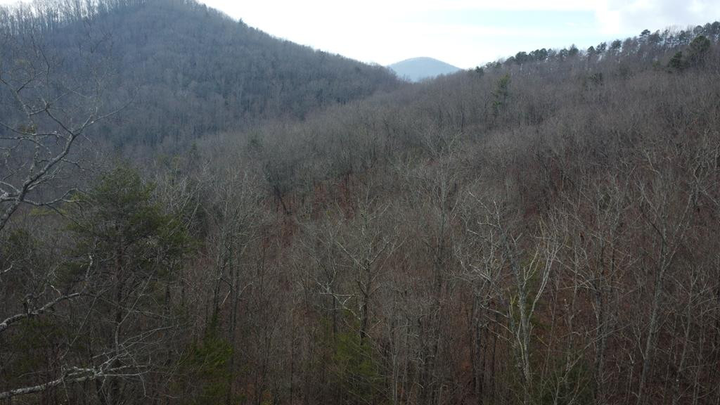 300 48 Jernigan Court Property Photo 1