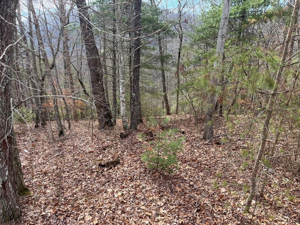 300 48 Jernigan Court Property Photo 3