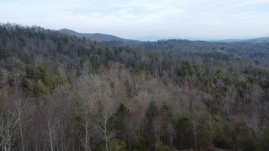 300 48 Jernigan Court Property Photo 11