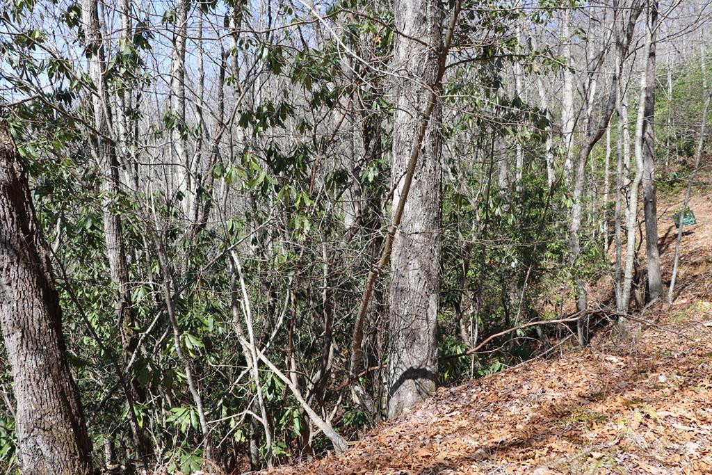 Tbd Brandonwood Drive Property Photo 2