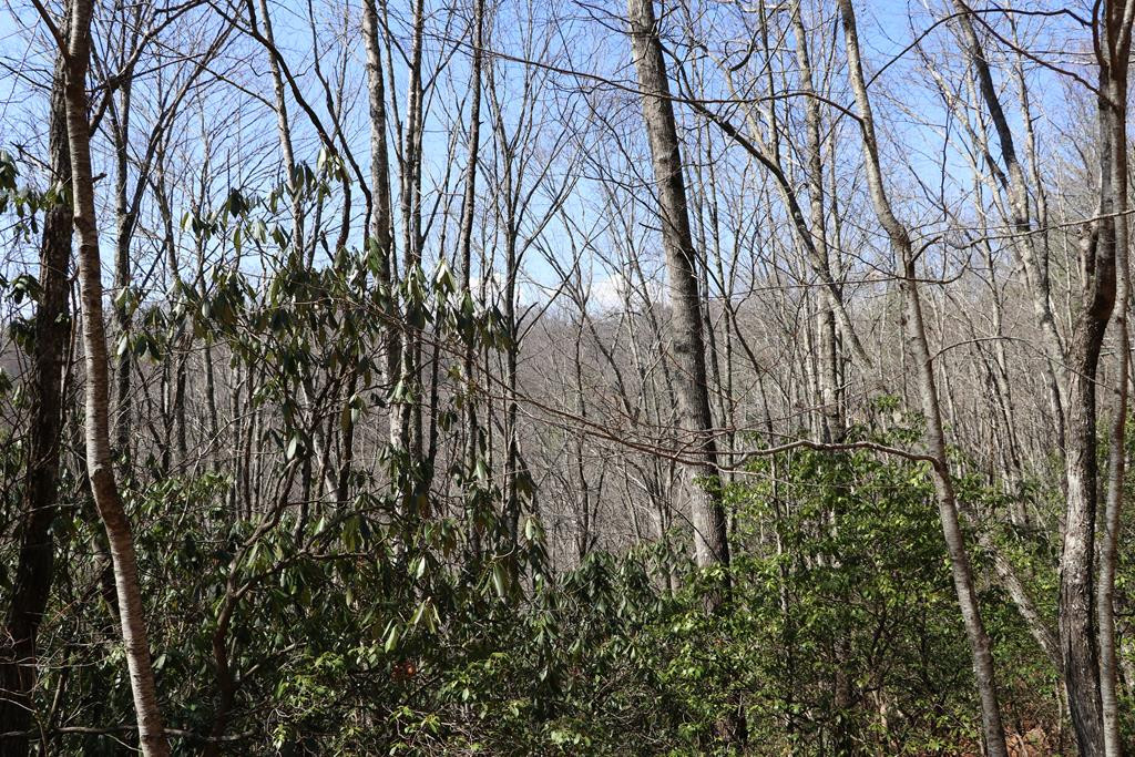 Tbd Brandonwood Drive Property Photo 3