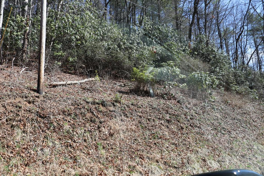 Tbd Brandonwood Drive Property Photo 9
