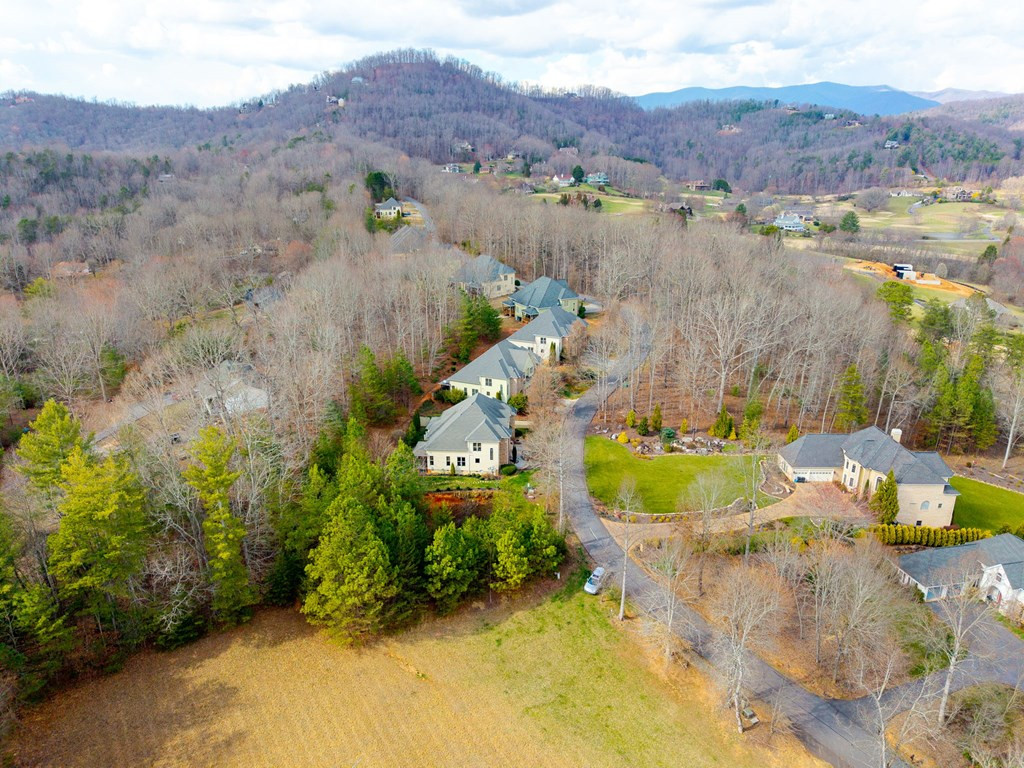 43 44 45a Licklog Ridge Property Photo 4