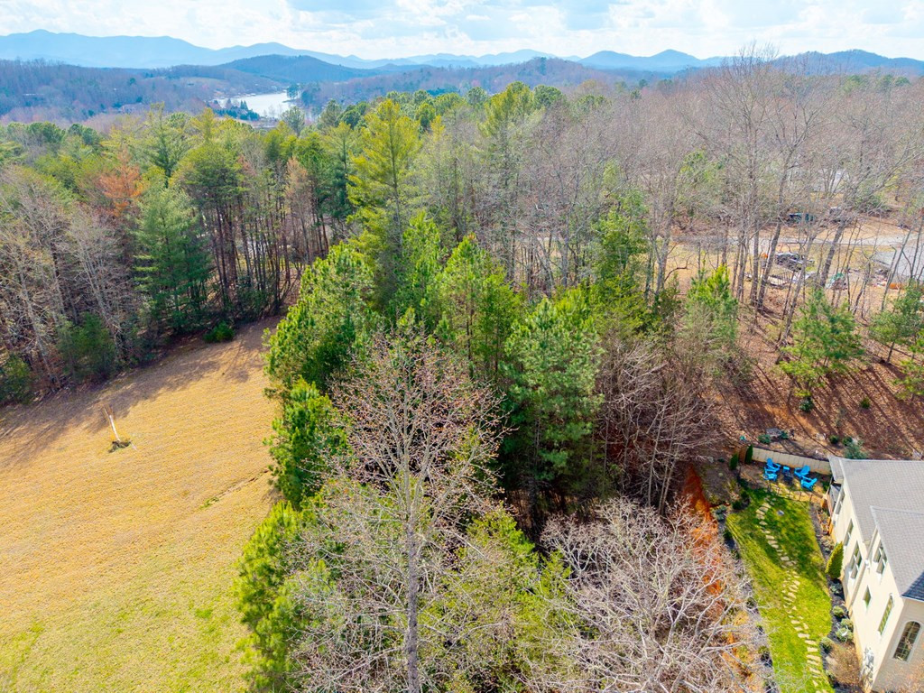 43 44 45a Licklog Ridge Property Photo 5