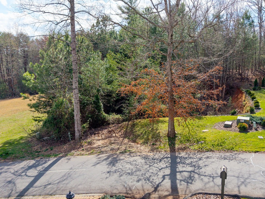 43 44 45a Licklog Ridge Property Photo 6