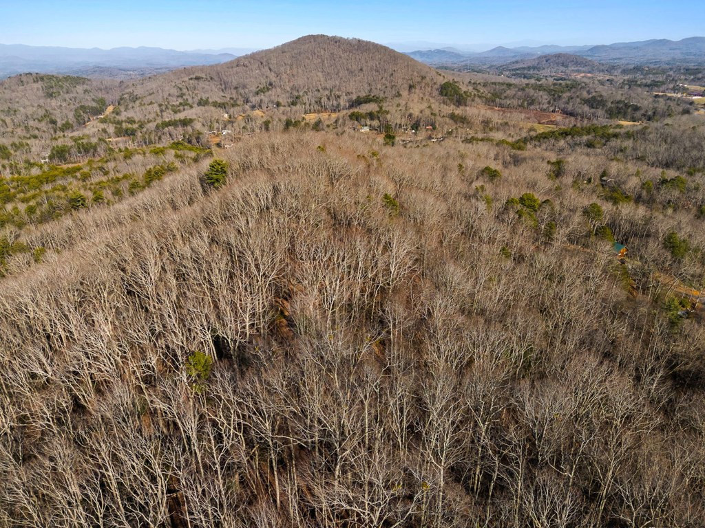 Tbd W Hills Property Photo 3