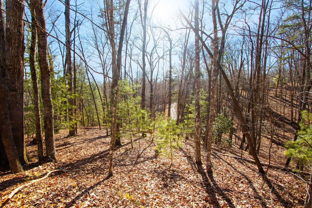 Tbd W Hills Property Photo 5