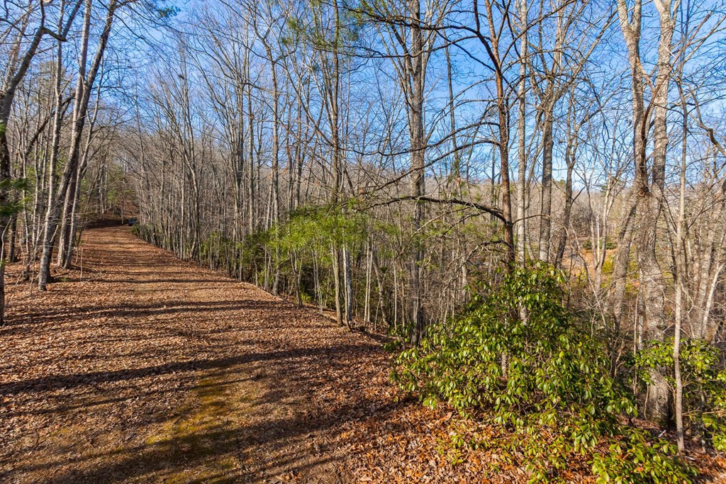 Tbd W Hills Property Photo 8