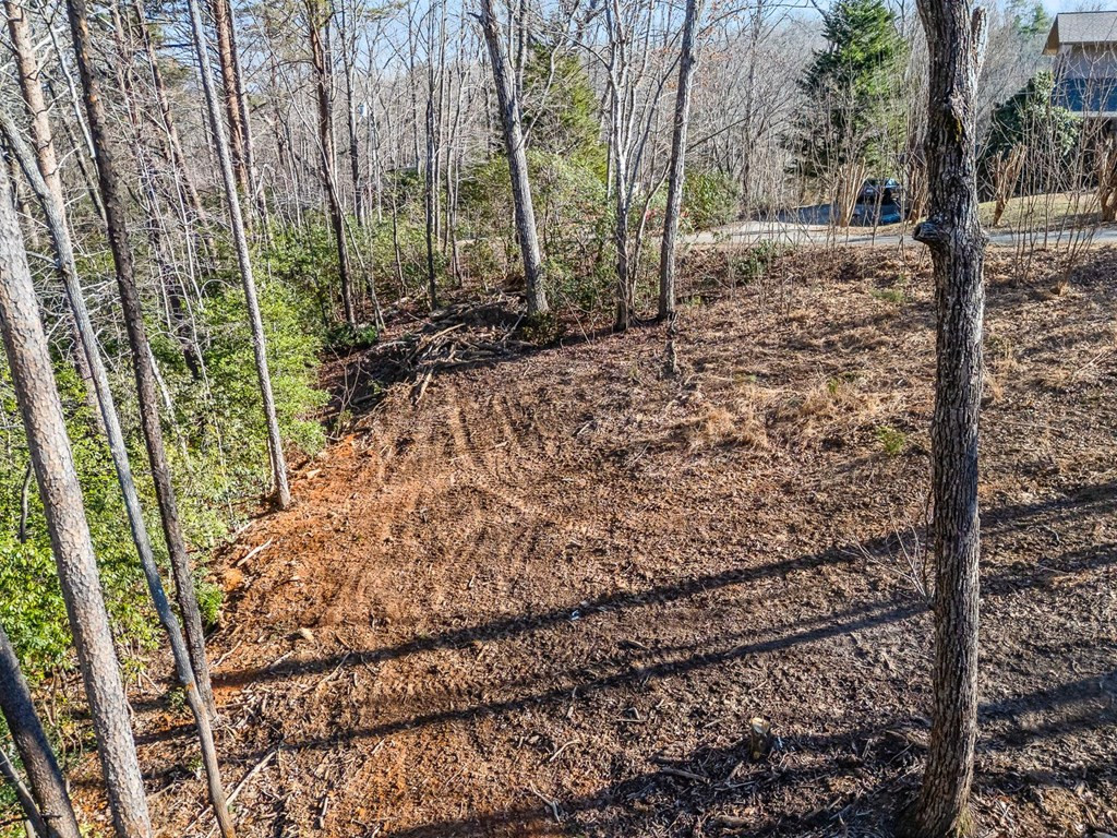 Tbd W Hills Property Photo 11