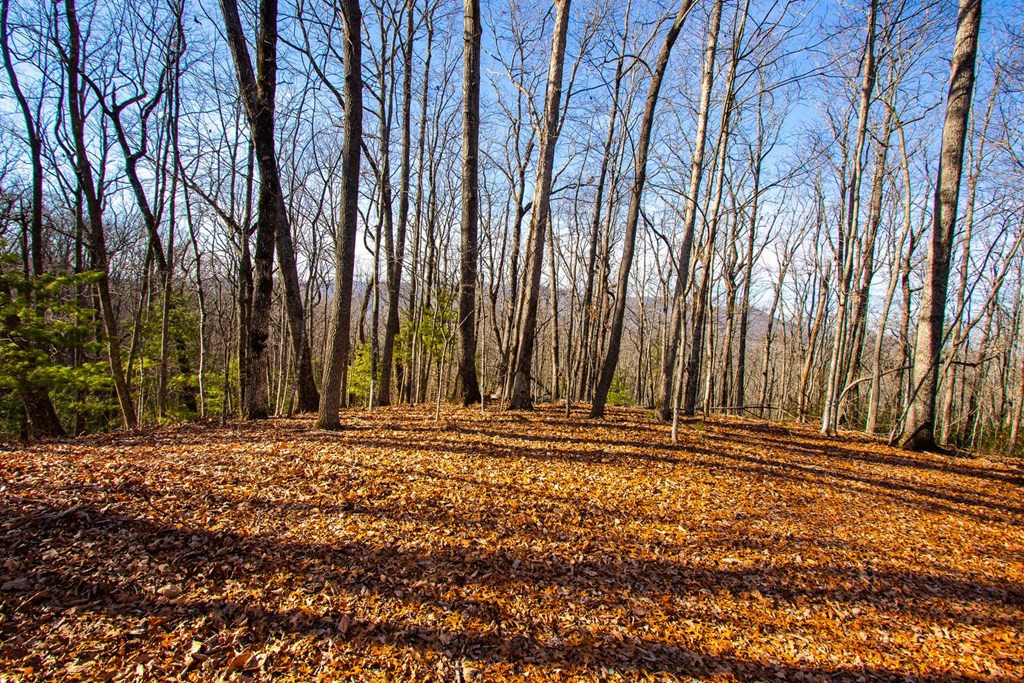 Tbd W Hills Property Photo 12