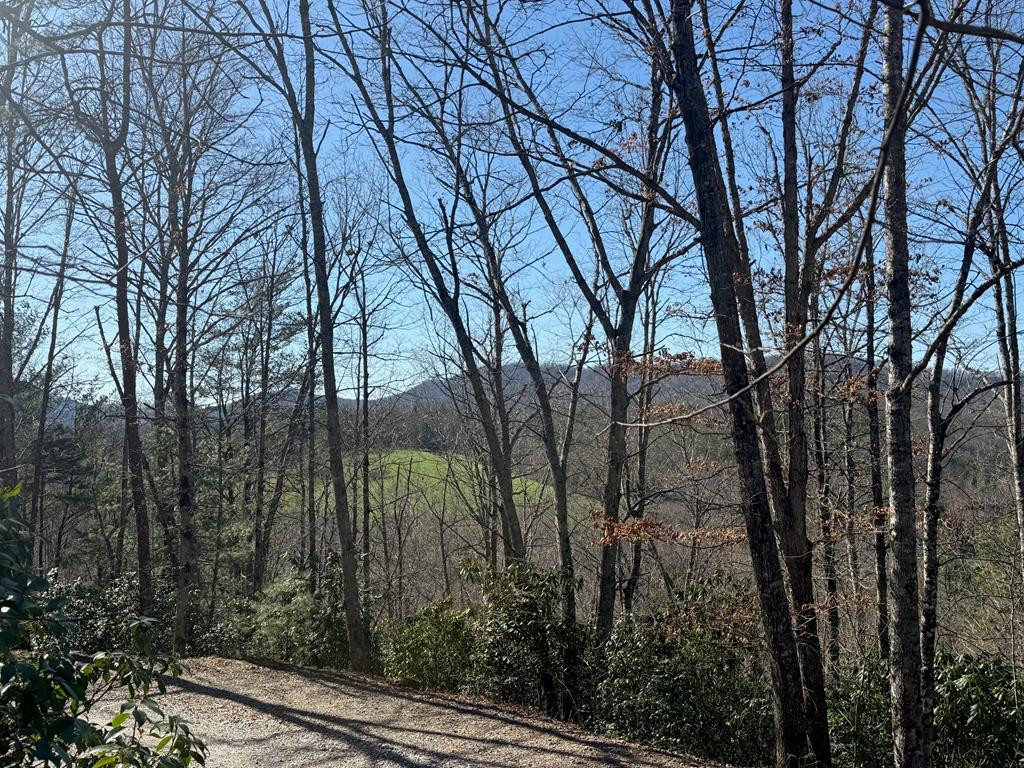 Lot 4 10b-4 Willow Ridge Property Photo 1