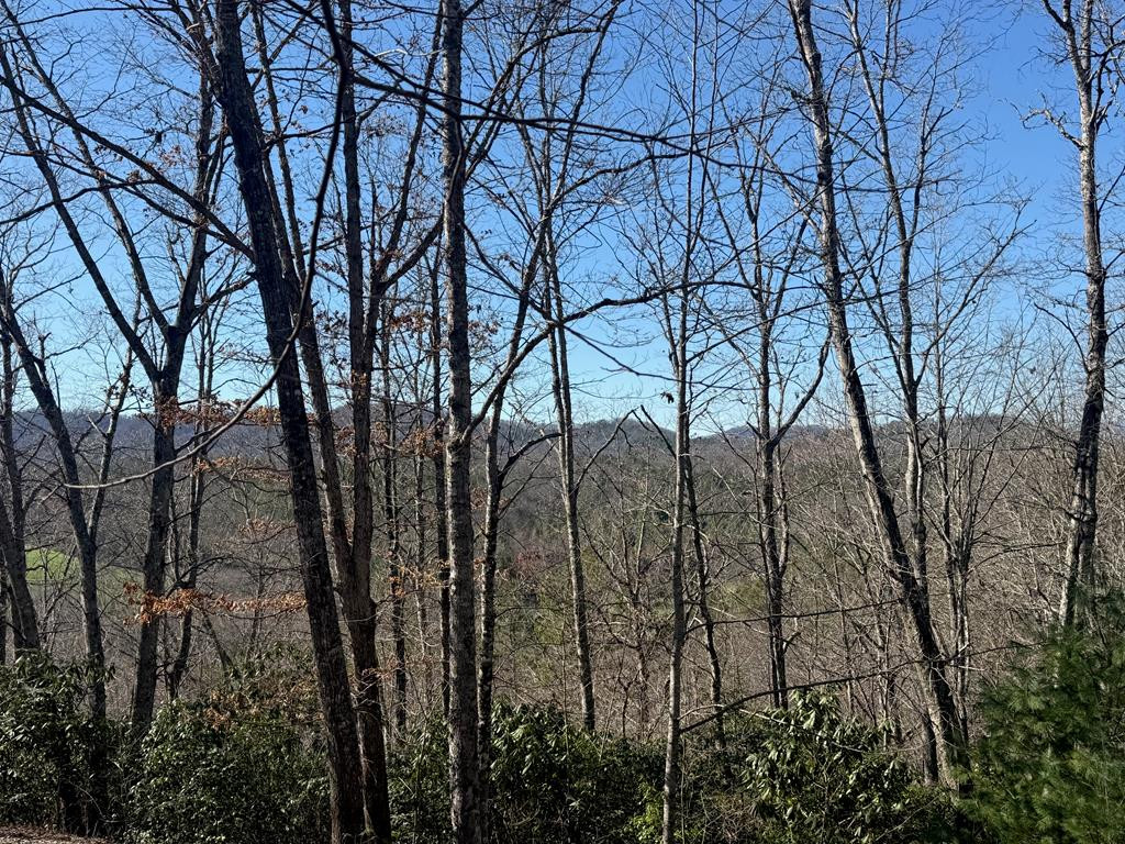 Lot 4 10b-4 Willow Ridge Property Photo 3