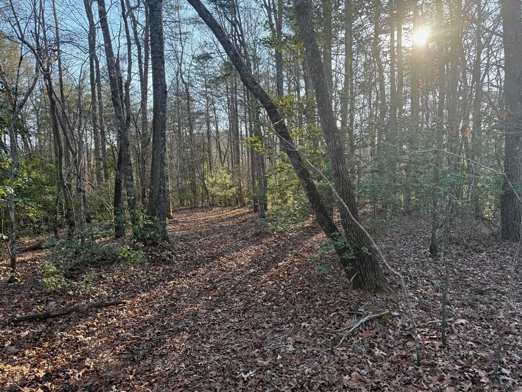 Lot 4 10b-4 Willow Ridge Property Photo 4