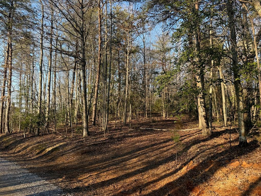 Lot 4 10b-4 Willow Ridge Property Photo 5