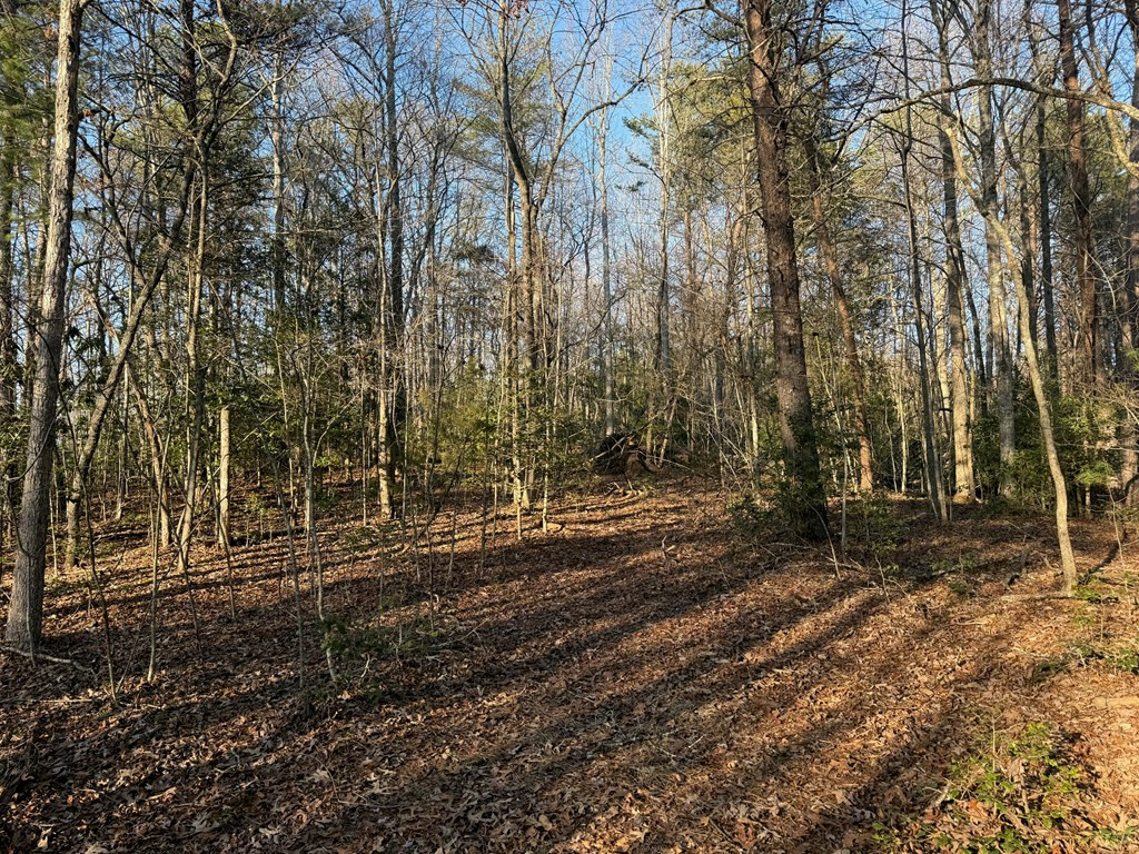 Lot 4 10b-4 Willow Ridge Property Photo 6