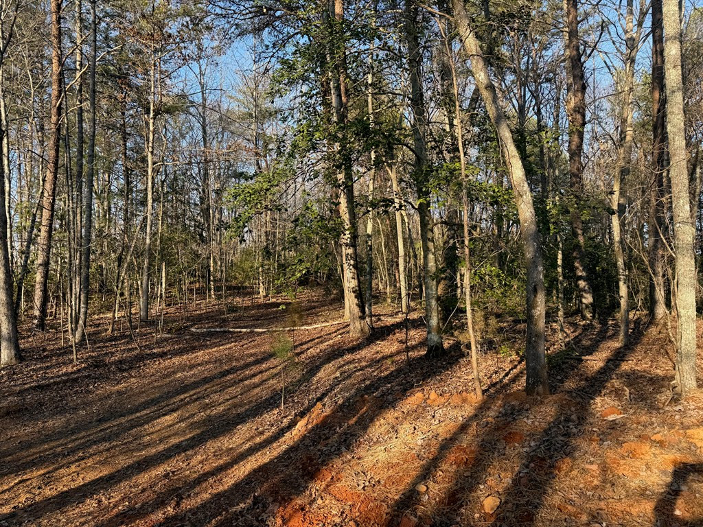Lot 4 10b-4 Willow Ridge Property Photo 7
