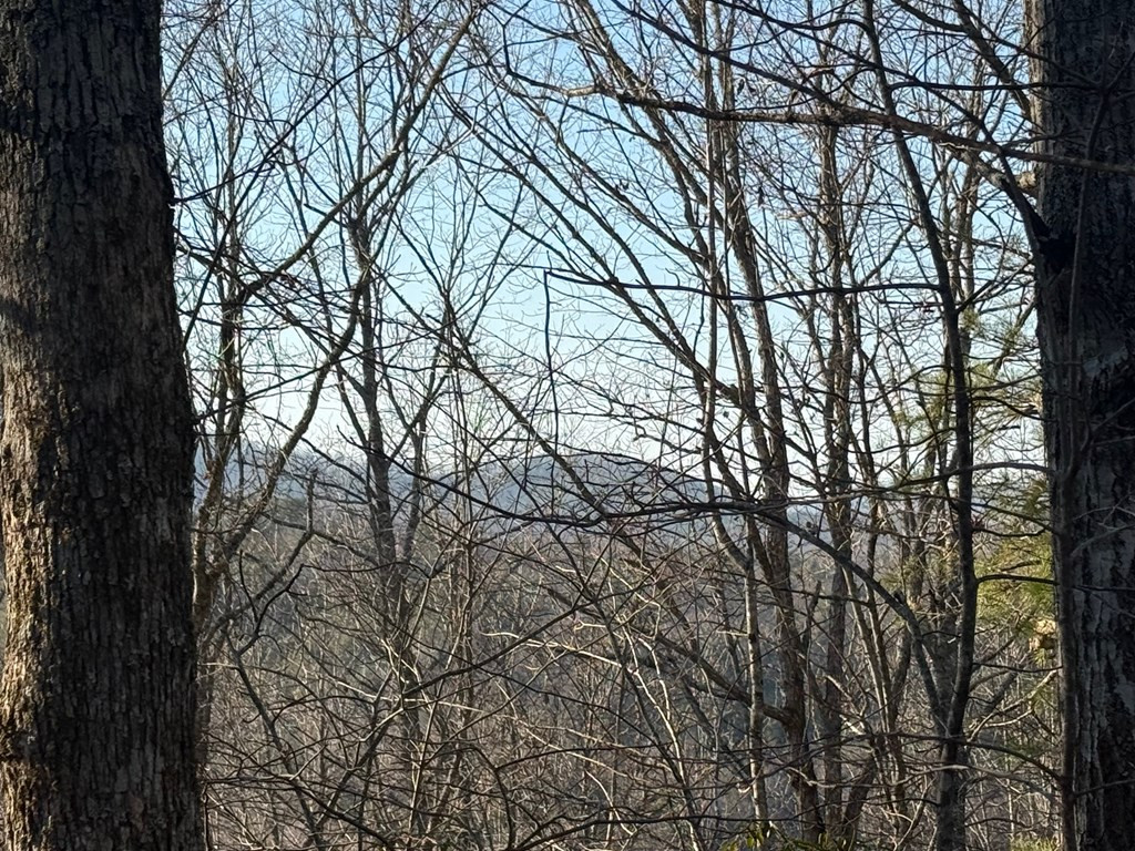 Lot 4 10b-4 Willow Ridge Property Photo 8