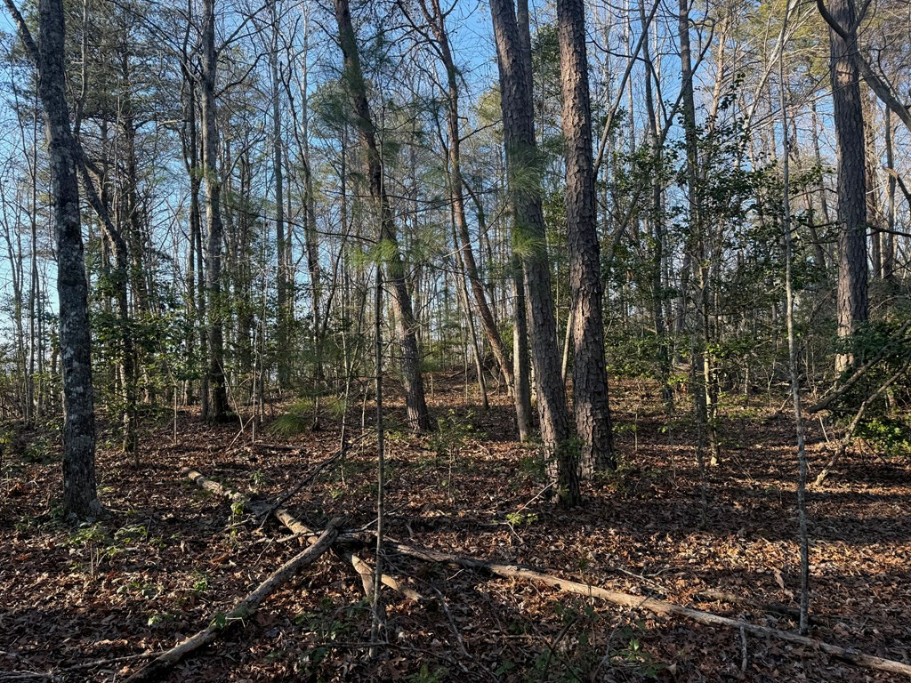Lot 4 10b-4 Willow Ridge Property Photo 9