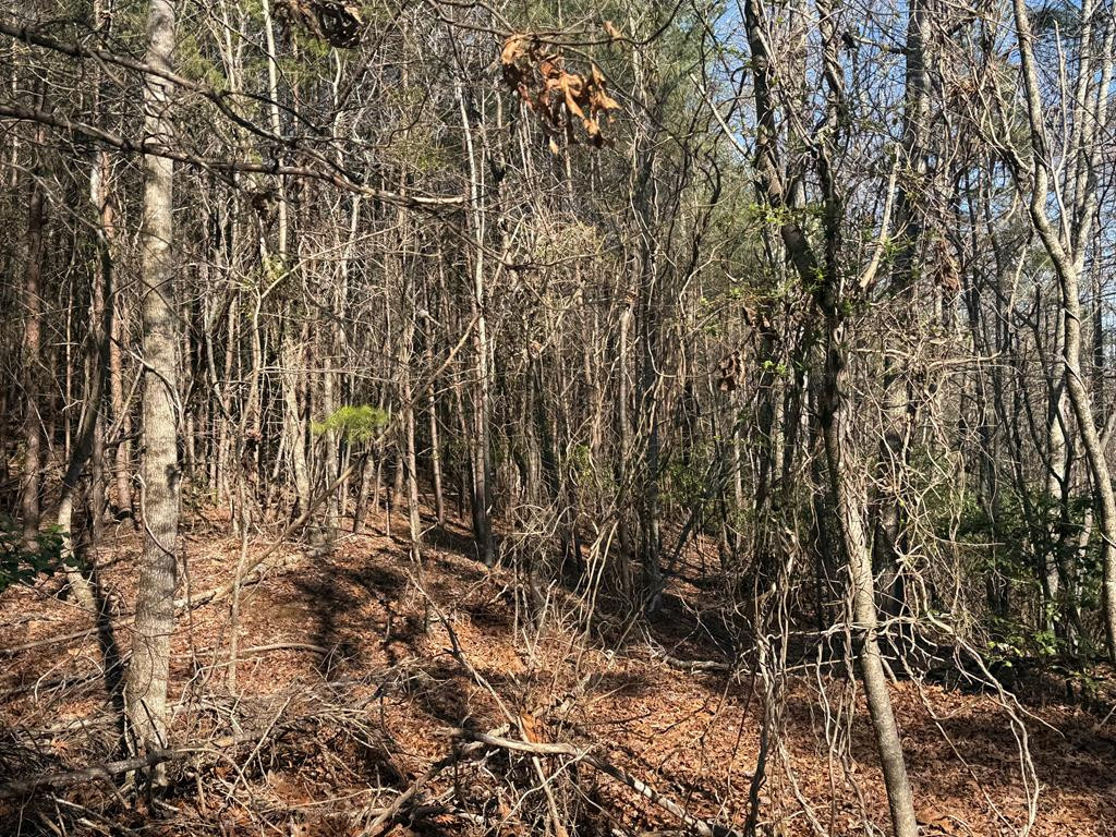Lot 4 10b-4 Willow Ridge Property Photo 10