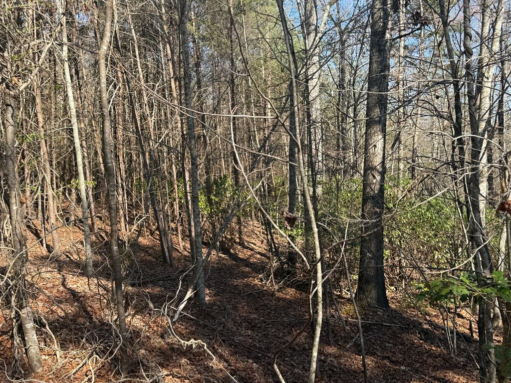 Lot 4 10b-4 Willow Ridge Property Photo 11