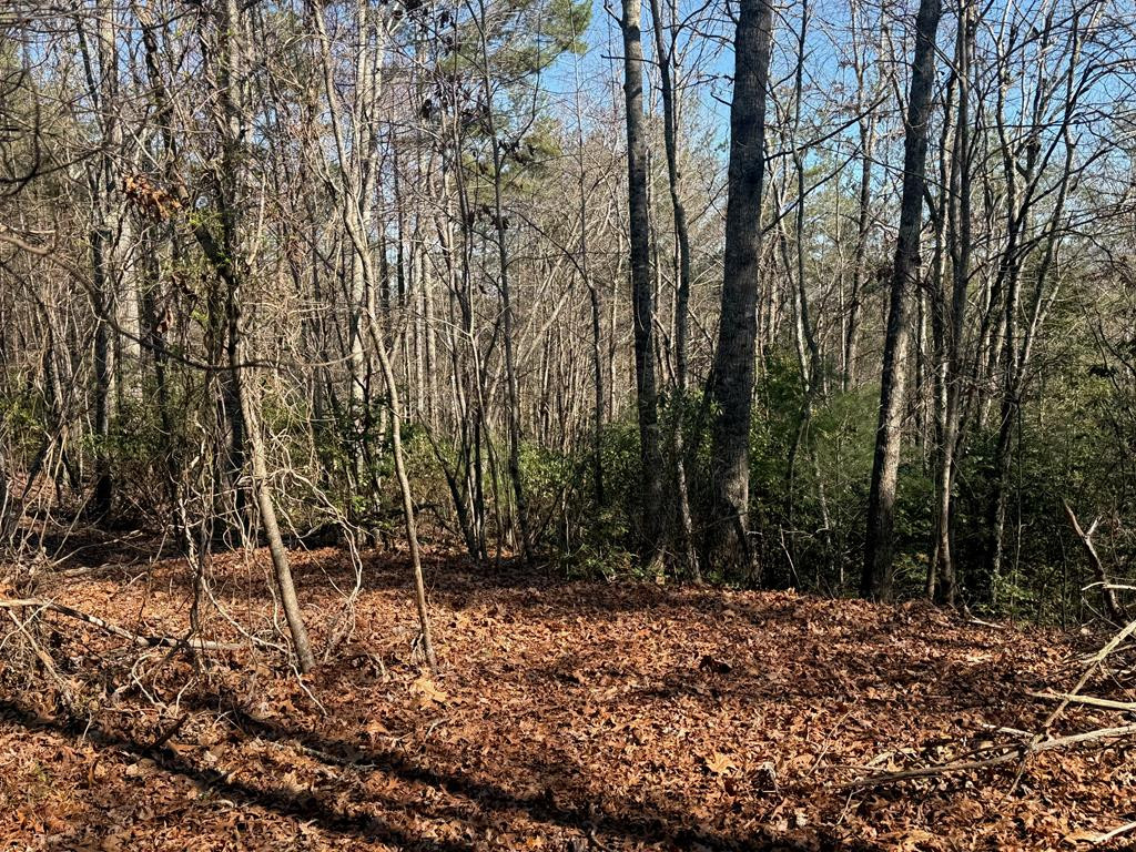 Lot 4 10b-4 Willow Ridge Property Photo 12