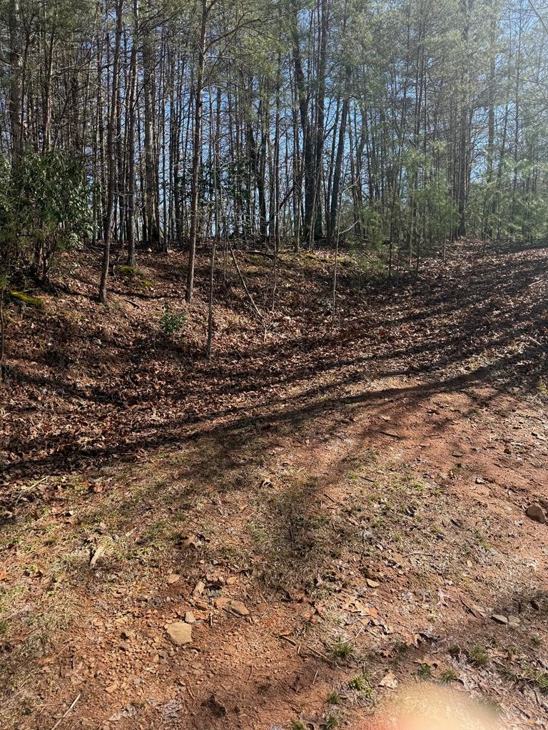 Lot 4 10b-4 Willow Ridge Property Photo 13