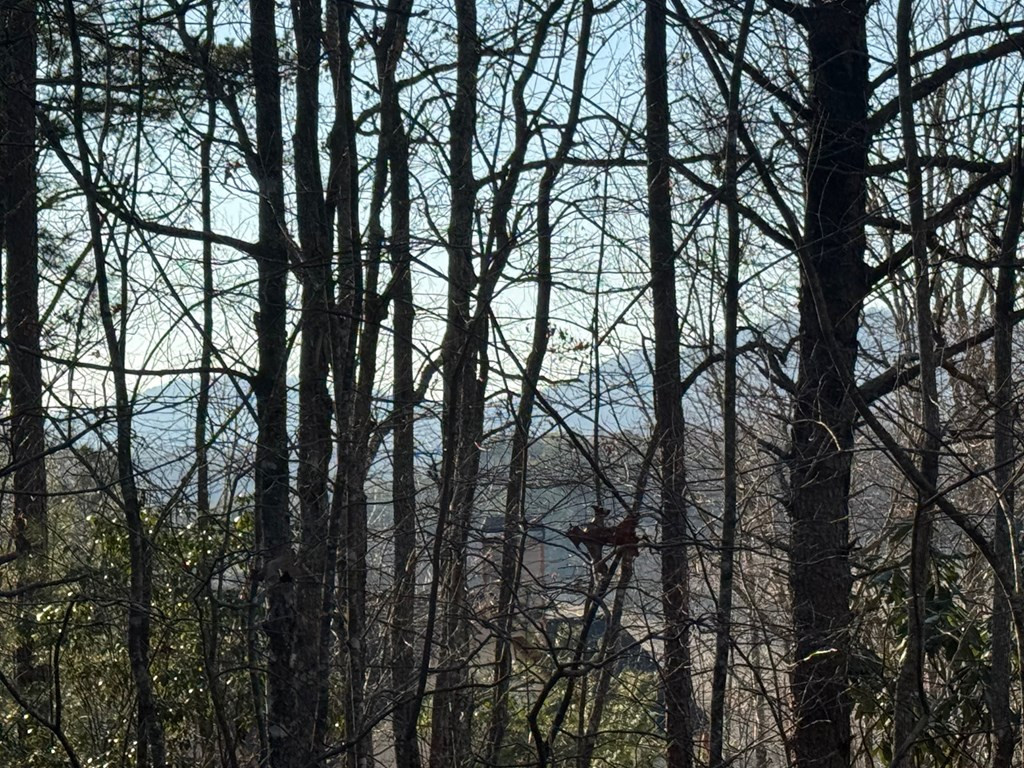 Lot 4 10b-4 Willow Ridge Property Photo 14