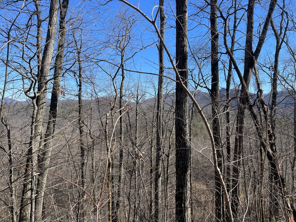 Lot 68j 68j Grandview Drive Property Photo 2