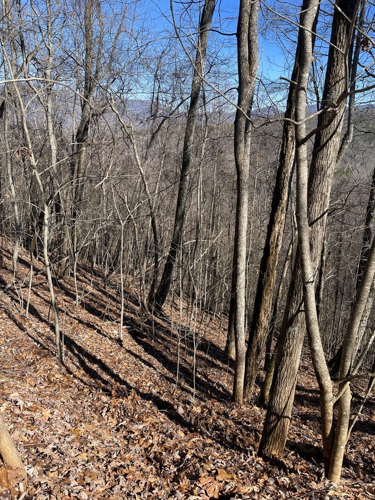Lot 68j 68j Grandview Drive Property Photo 3