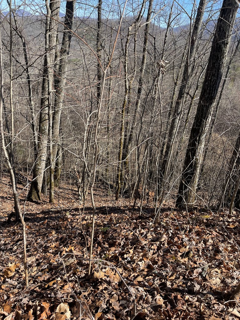 Lot 68j 68j Grandview Drive Property Photo 4