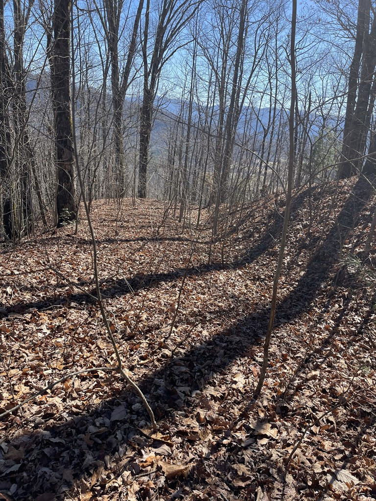 Lot 68j 68j Grandview Drive Property Photo 5