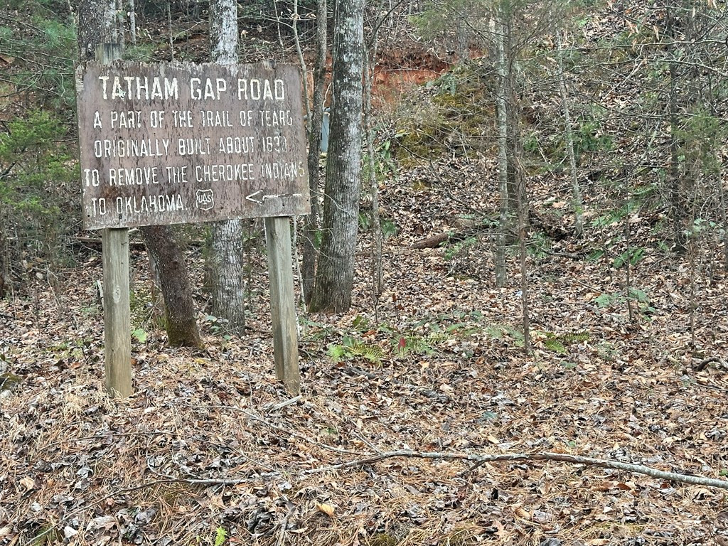 0 Tatham Gap Road Property Photo 2