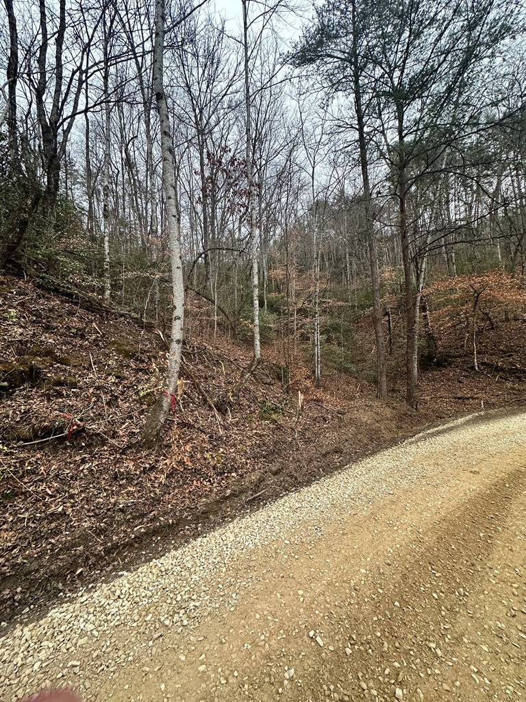0 Tatham Gap Road Property Photo 3