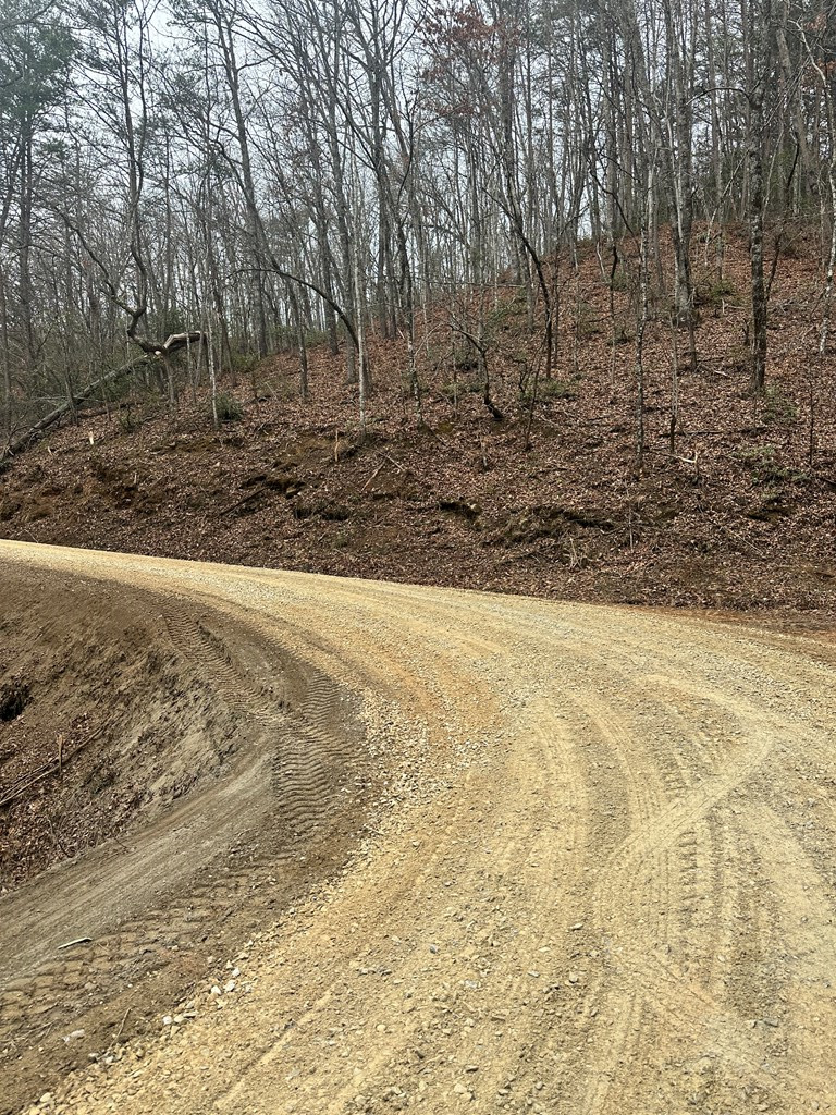 0 Tatham Gap Road Property Photo 4