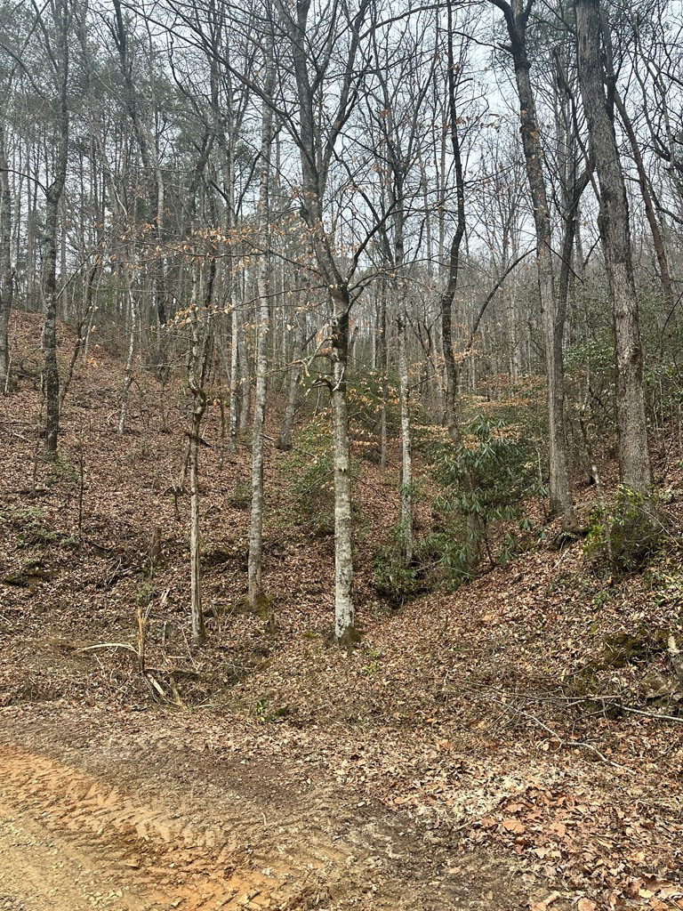 0 Tatham Gap Road Property Photo 6