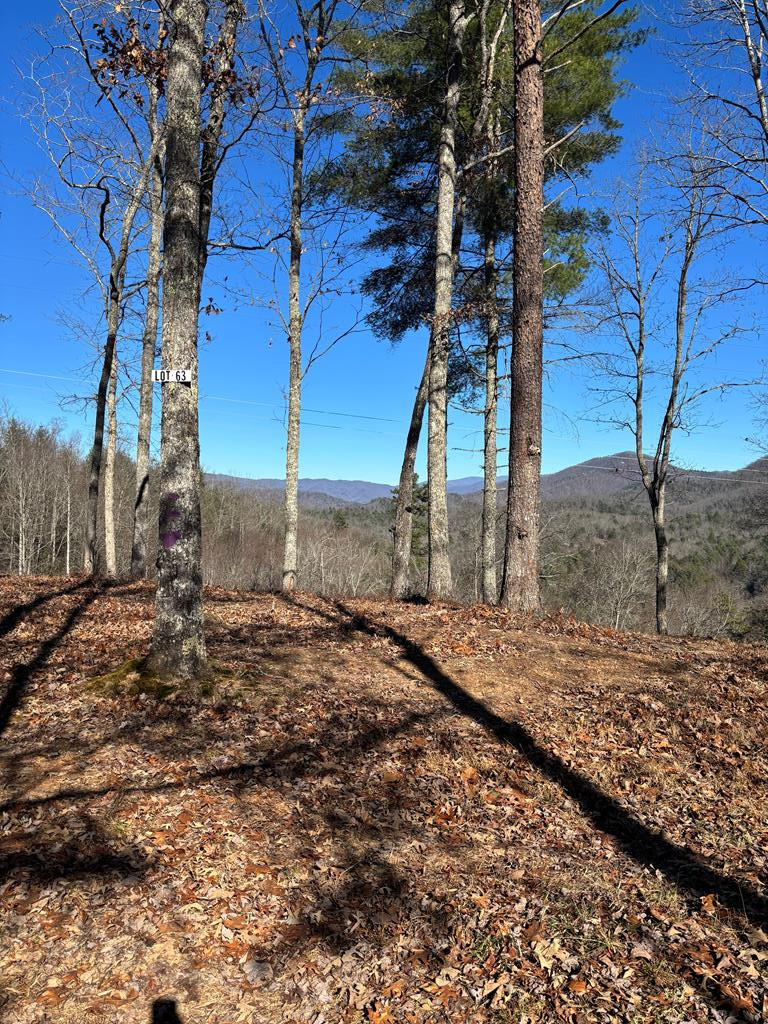 Lot 63 63 Thundering Hill Property Photo 1
