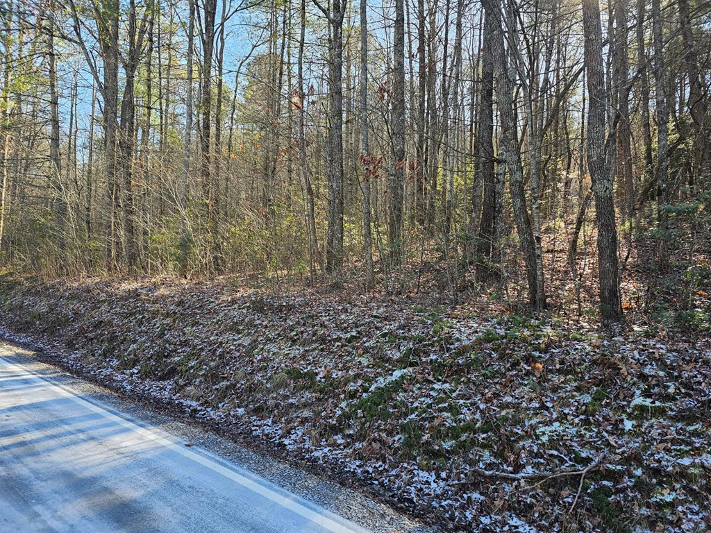 0 1&53 Beaverdam Road Property Photo 6
