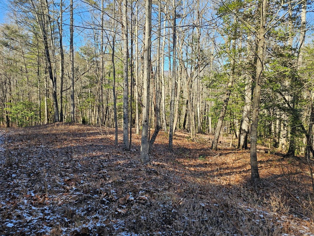 0 1&53 Beaverdam Road Property Photo 7