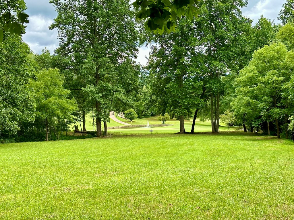 Lot 65c 65c Mountain Harbour Property Photo 3