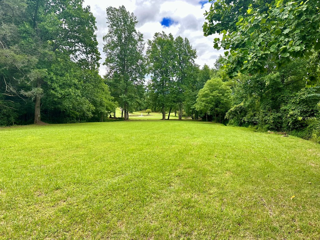 Lot 65c 65c Mountain Harbour Property Photo 5