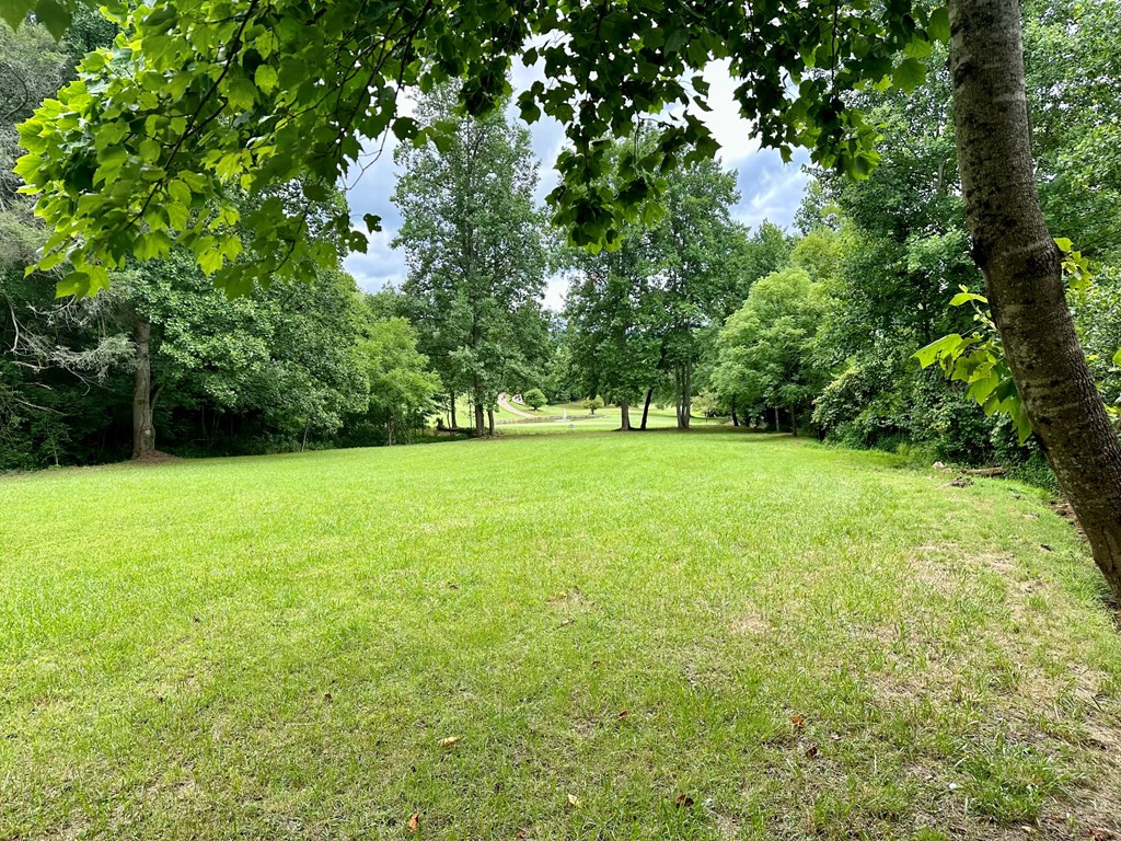 Lot 65c 65c Mountain Harbour Property Photo 6