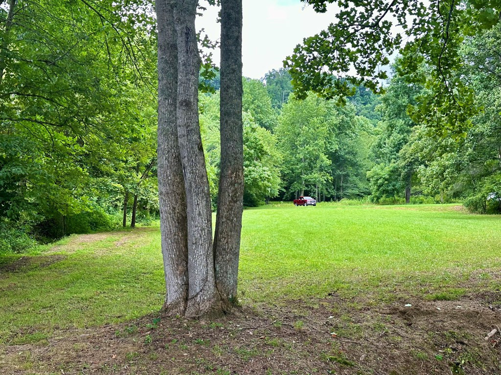 Lot 65c 65c Mountain Harbour Property Photo 9