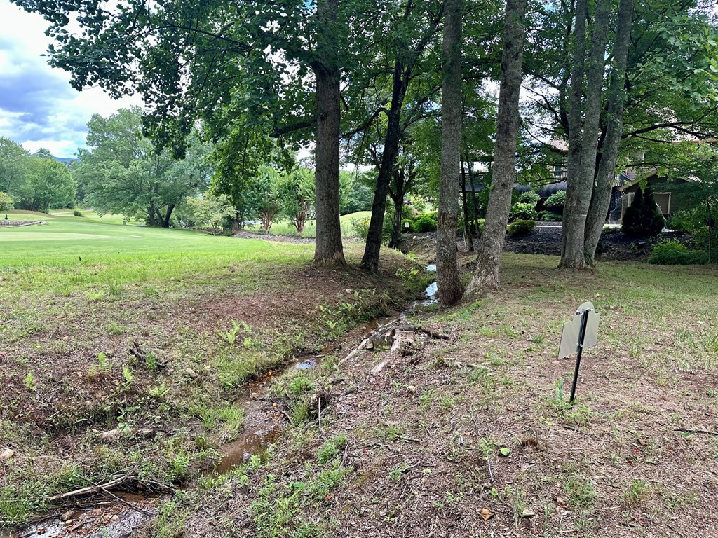 Lot 65c 65c Mountain Harbour Property Photo 10