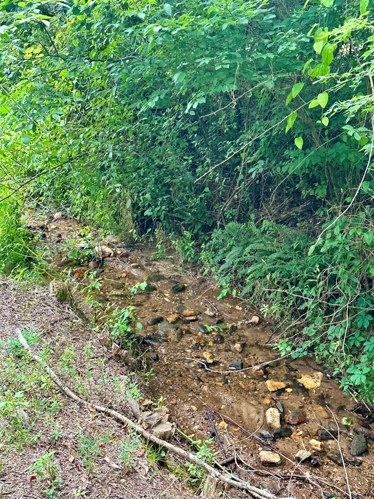 Lot 65c 65c Mountain Harbour Property Photo 11